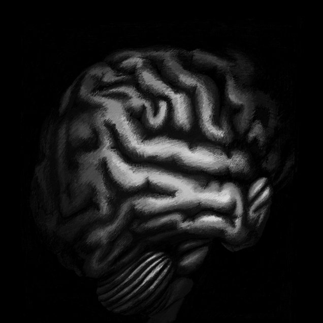 Gross__Brain-01_