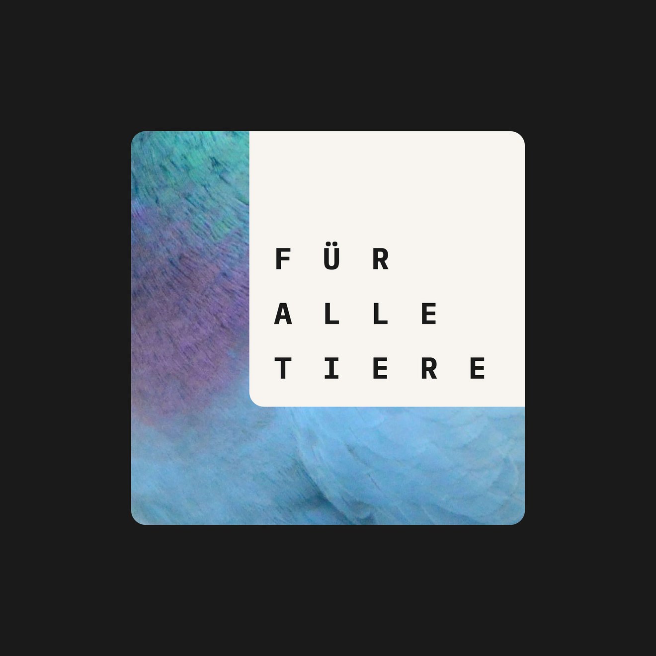 Light_Fuer-alle-Tiere_Logo-Pure_06