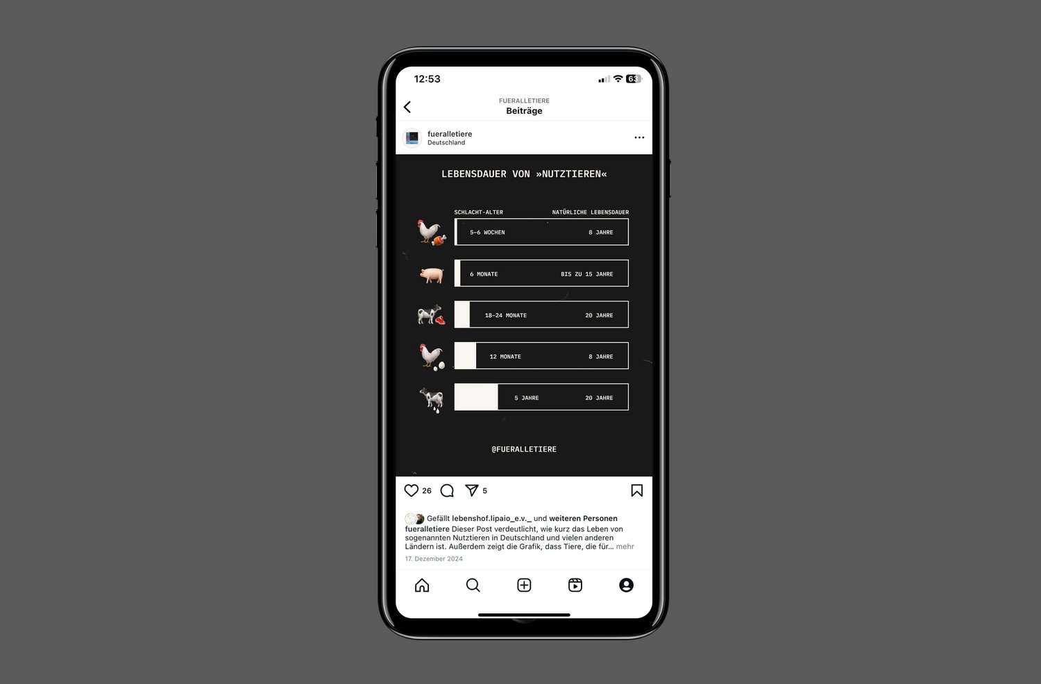 mockup-insta-02-quer